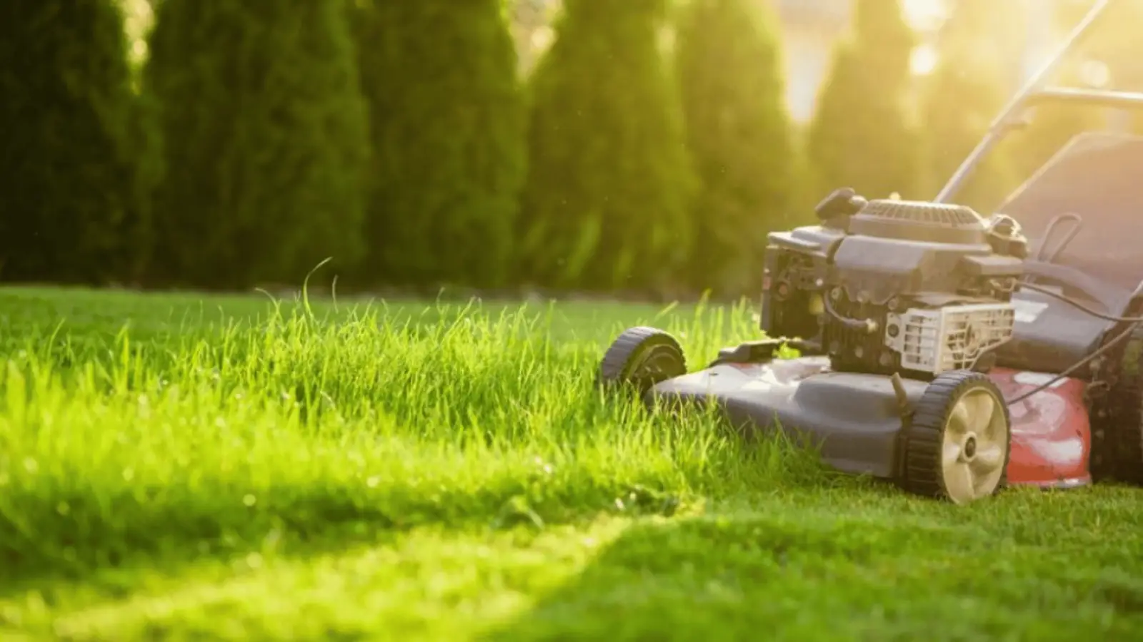 MDA Services — lawn care in Bowral